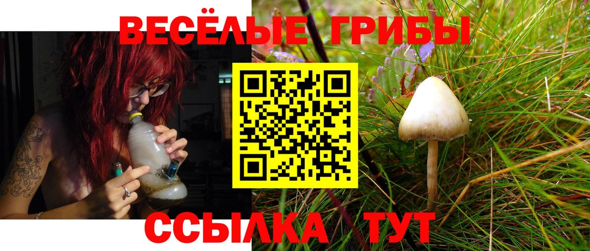 Кольчугино  Галлюциногенные грибы Magic Shrooms  хочу наркоту  Вход с VPN 